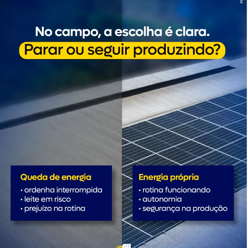 NO CAMPO, A ESCOLHA É CLARA.